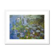 Water Lilies Framed & Mounted Print