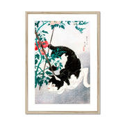 Cat with Tomato Plant Framed & Mounted Print