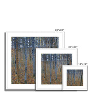 Beech Grove I Framed & Mounted Print
