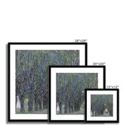 Allee at Schloss Kammer Framed & Mounted Print