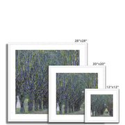 Allee at Schloss Kammer Framed & Mounted Print