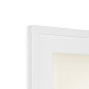 Eurasian wigeon Framed & Mounted Print