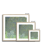Rosebushes under the Trees Framed & Mounted Print