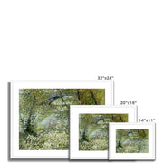 River Bank in Springtime Framed & Mounted Print