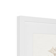 Studies of Meadow Flowers Framed & Mounted Print