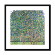 Pear Tree Framed & Mounted Print