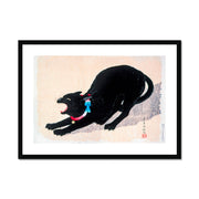 Black Cat Hissing Framed & Mounted Print