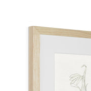 Cardinal Flower Framed & Mounted Print