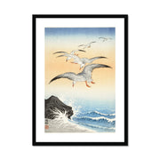 Five Seagulls Above Turbulent Sea Framed & Mounted Print