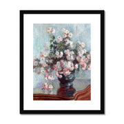 Chrysanthemums Framed & Mounted Print