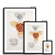 Japanese Lily, East Hampton  Framed & Mounted Print