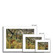 Tiger in a Tropical Storm Framed & Mounted Print