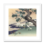 Tree and chrysanthemums Framed & Mounted Print