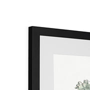 Botanical Detail Studies: Hollyhocks, Blueberries, and Blackberries Framed & Mounted Print