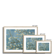 Almond blossom Framed & Mounted Print