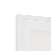 Common Crane Framed & Mounted Print