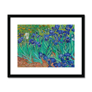Irises Framed & Mounted Print
