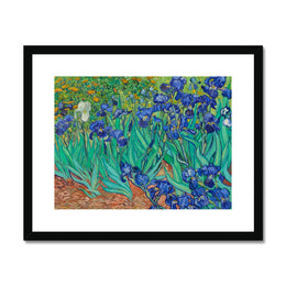 Irises Framed & Mounted Print