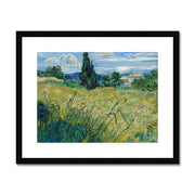 Green Wheat Field with Cypress Framed & Mounted Print
