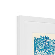 Blue Marigold Framed & Mounted Print