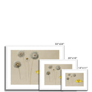 Study of White Daisy, Chamomile Stem with Two Petals, and a Chamomile Petal Framed & Mounted Print