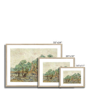 The Olive Orchard (1889) Framed & Mounted Print