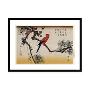 Ukiyo-e illustration, Macaw on Pine Branch Framed & Mounted Print