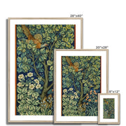 Cock Pheasant Framed & Mounted Print