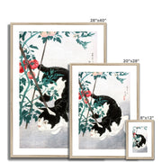 Cat with Tomato Plant Framed & Mounted Print