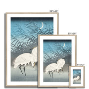 Egrets and Reeds in Moonlight Framed & Mounted Print
