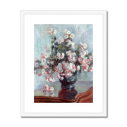 Chrysanthemums Framed & Mounted Print