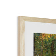 The Forest at Pontaubert Framed & Mounted Print