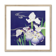 Irises Framed & Mounted Print