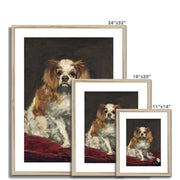A King Charles Spaniel Framed & Mounted Print