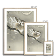 Long-Eared Owl in Ginkgo Framed & Mounted Print