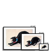 Black Cat Hissing Framed & Mounted Print