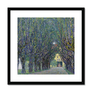 Allee at Schloss Kammer Framed & Mounted Print