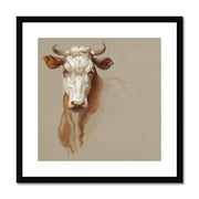 Two Studies of Cattle Framed & Mounted Print