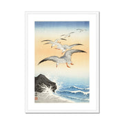 Five Seagulls Above Turbulent Sea Framed & Mounted Print