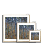 Beech Grove I Framed & Mounted Print