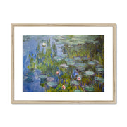 Water Lilies Framed & Mounted Print
