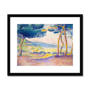 Pines Along the Shore Framed & Mounted Print