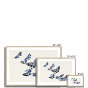 Japanese butterfly: Cho senshu (One Thousand Butterflies) 1 Framed & Mounted Print