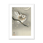 Long-Eared Owl in Ginkgo Framed & Mounted Print