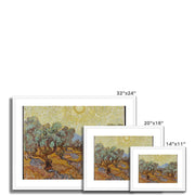 Olive Trees (1889) Framed & Mounted Print