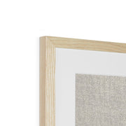 Long-Eared Owl on Bare Tree Branch Framed & Mounted Print