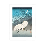 Egrets and Reeds in Moonlight Framed & Mounted Print