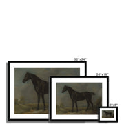 Golding Constable's Black Riding-Horse Framed & Mounted Print