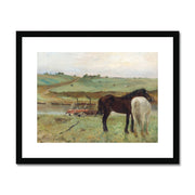 Horse in a Meadow Framed & Mounted Print