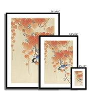 Great Tit on Paulownia Branch Framed & Mounted Print